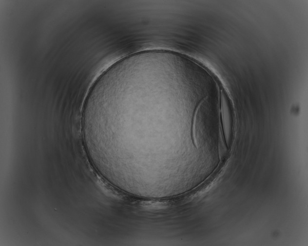 X0000095521145200801041217