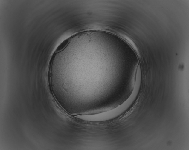 X0000095521146200801041217