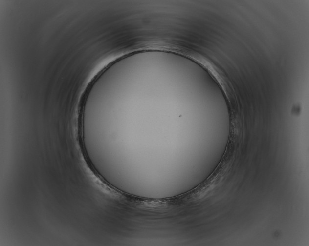 X0000095521147200801041217