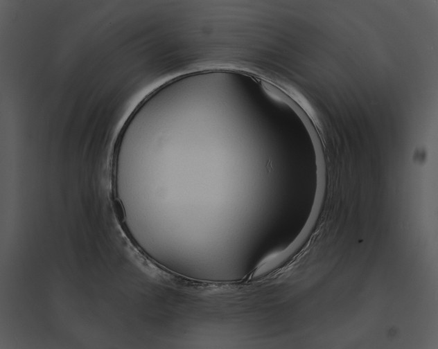 X0000095521148200801041217