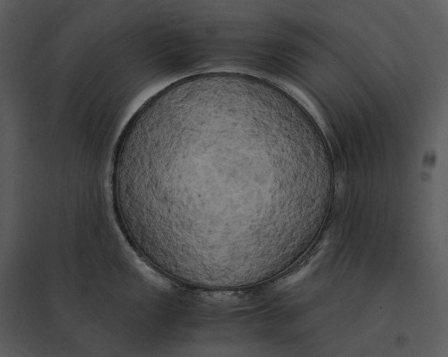 X0000095521149200801041217