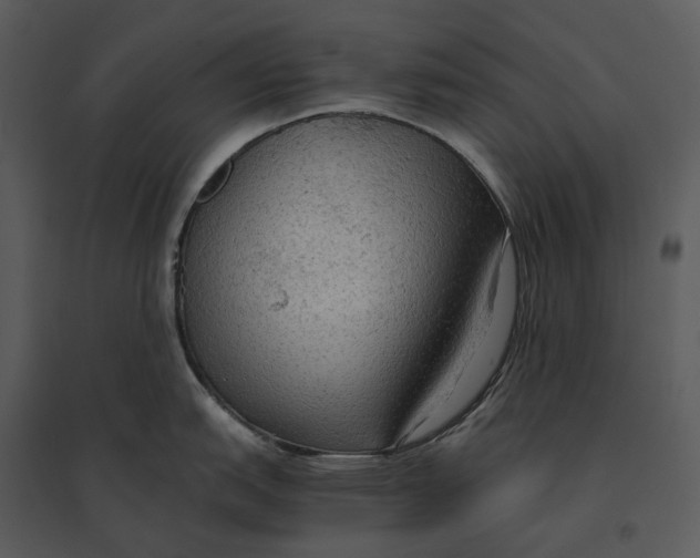 X0000095521151200801041217