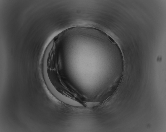 X0000095521152200801041217