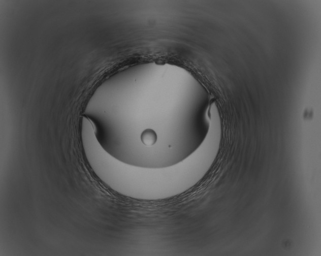 X0000095521153200801041217