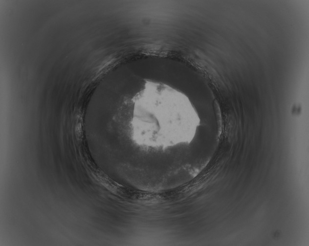 X0000095521154200801041217