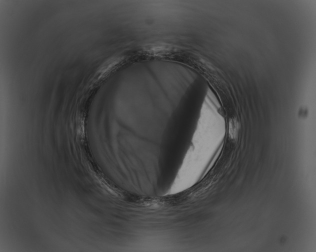 X0000095521155200801041217