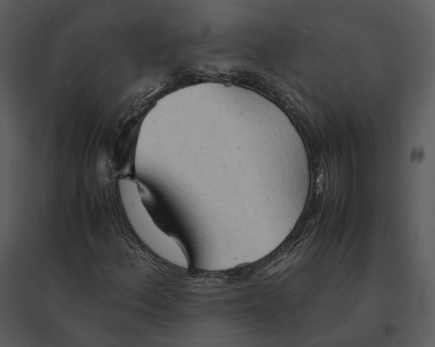 X0000095521156200801041217