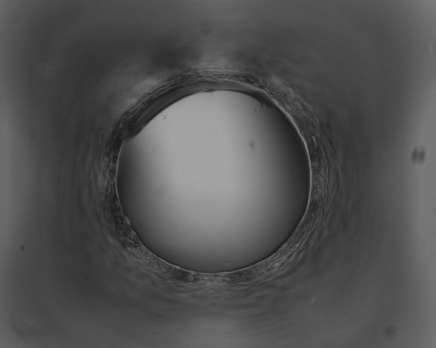 X0000095521157200801041217