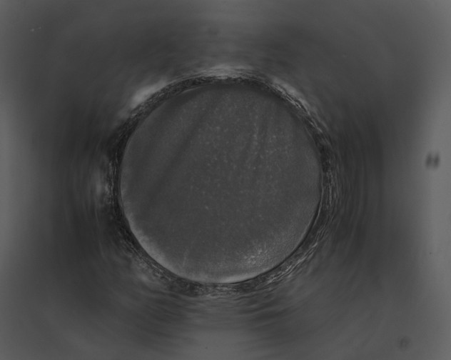 X0000095521158200801041217