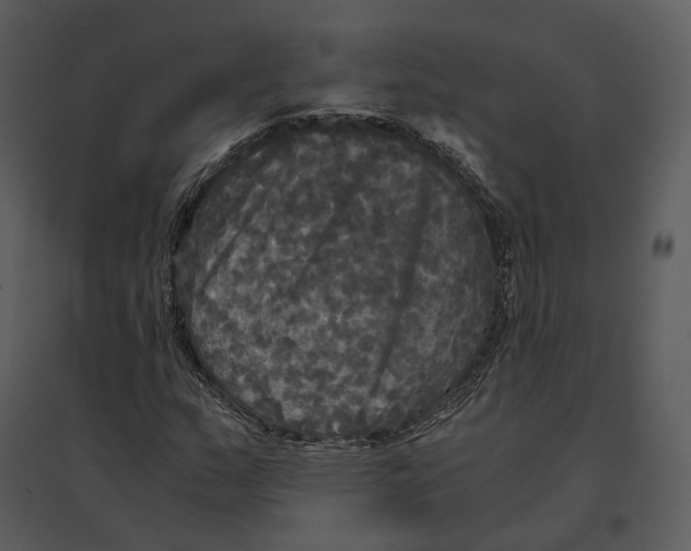 X0000095521159200801041217