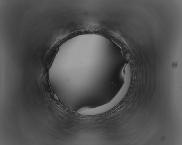 X0000095521160200801041217