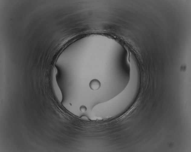 X0000095521161200801041217