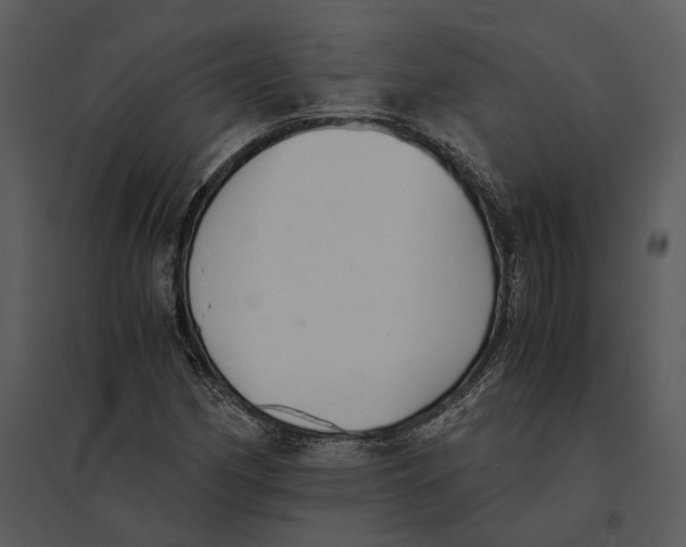 X0000095521162200801041217