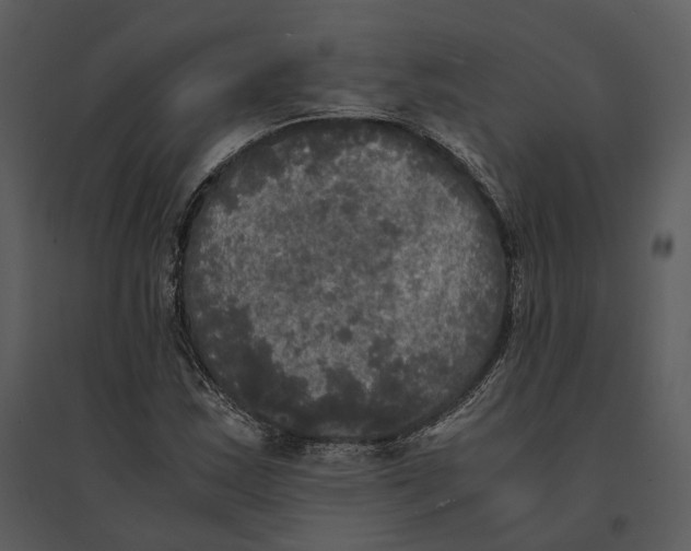 X0000095521163200801041216