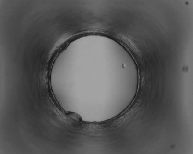 X0000095521164200801041216