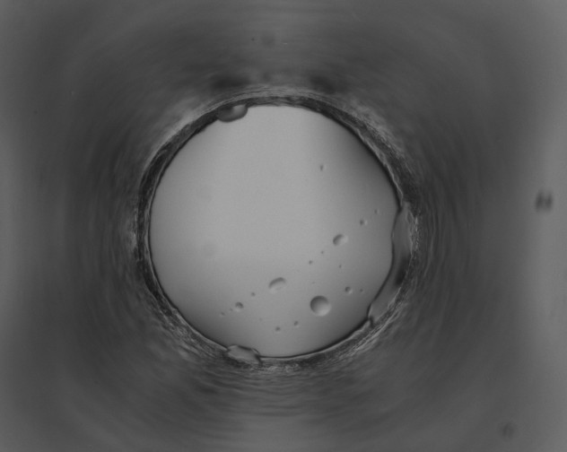 X0000095521165200801041216