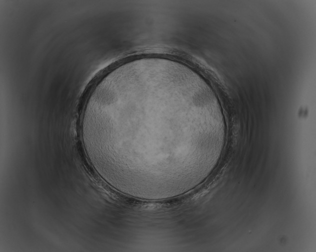 X0000095521166200801041216