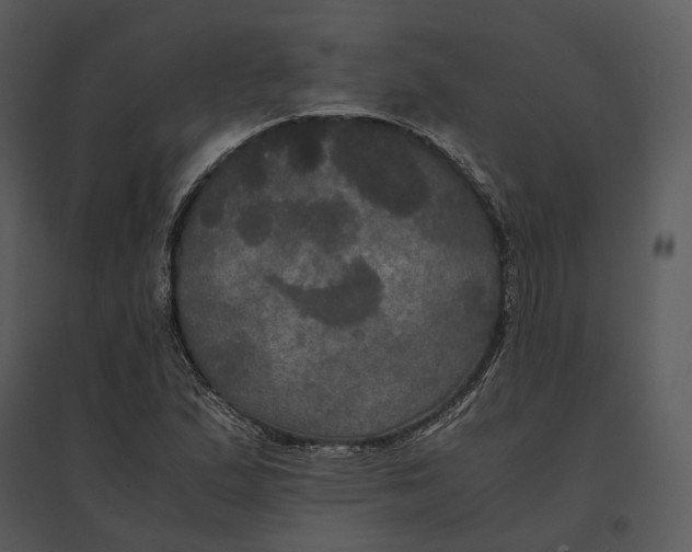 X0000095521167200801041216