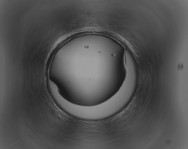 X0000095521168200801041216