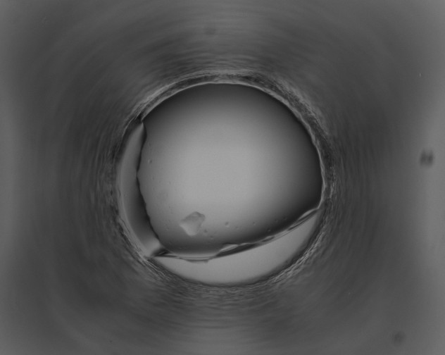 X0000095521169200801041216