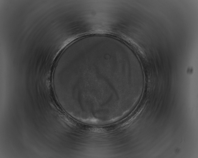 X0000095521170200801041216