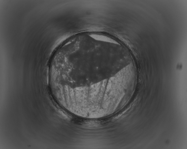 X0000095521171200801041216