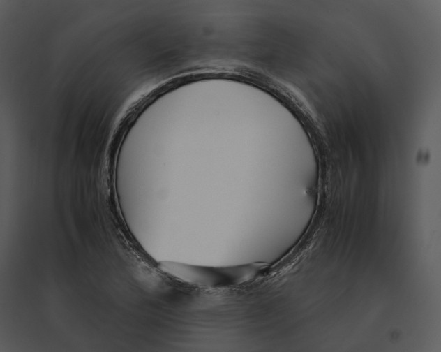 X0000095521172200801041216