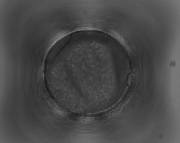 X0000095521173200801041216