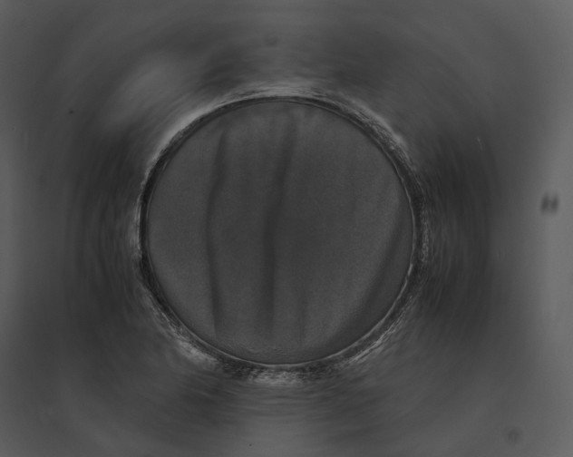 X0000095521174200801041216