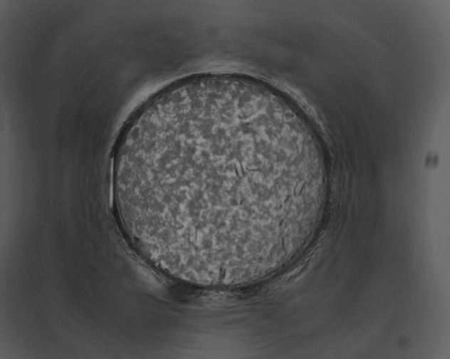 X0000095521175200801041216