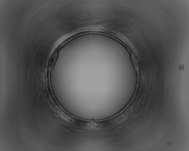 X0000095521176200801041216