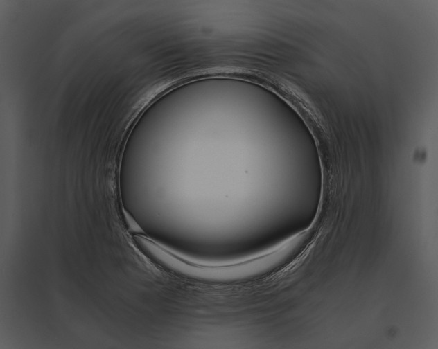 X0000095521177200801041216