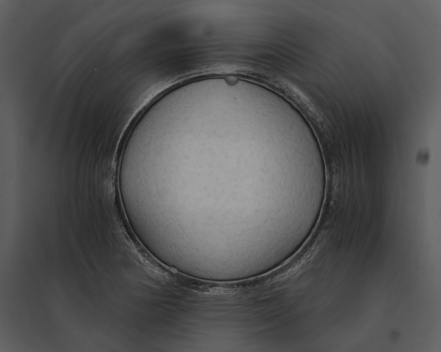 X0000095521178200801041216