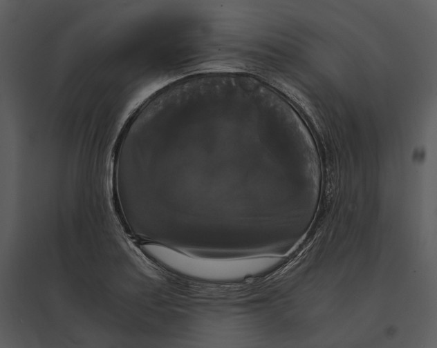 X0000095521179200801041216