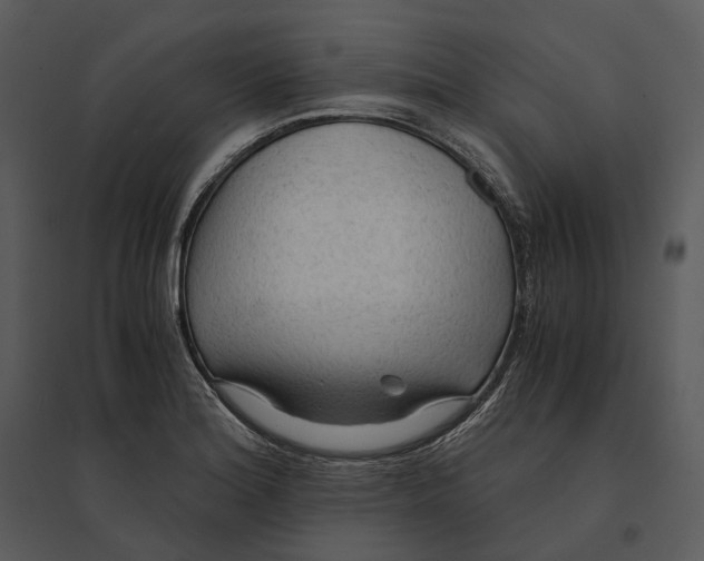 X0000095521180200801041216