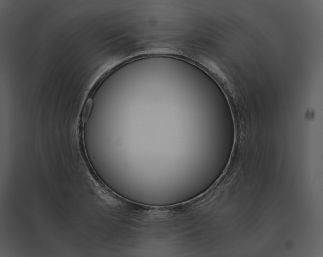 X0000095521181200801041216