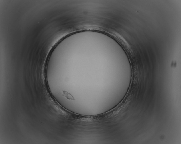 X0000095521182200801041216