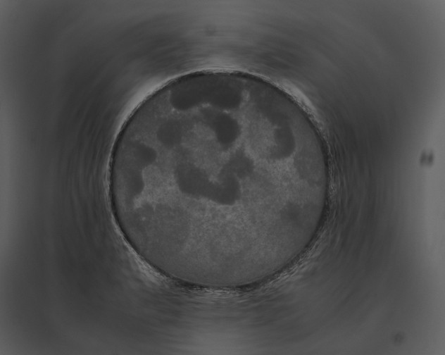 X0000095521183200801041216