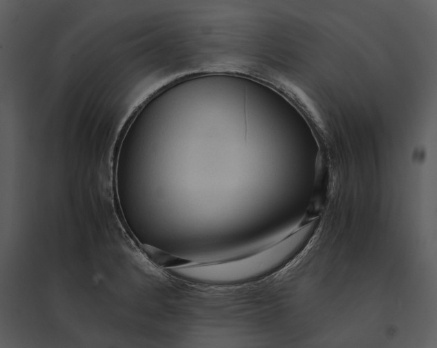 X0000095521184200801041216