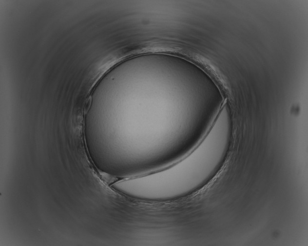 X0000095521185200801041216