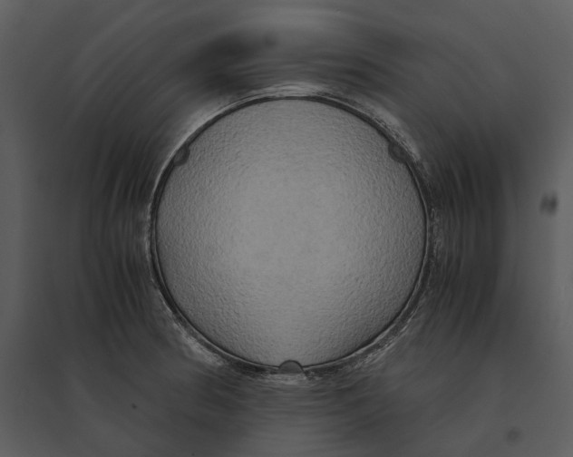 X0000095521186200801041216