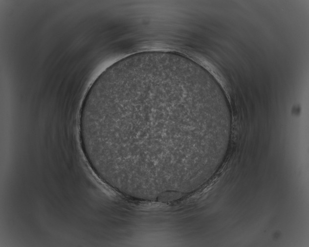 X0000095521187200801041216