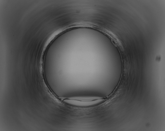 X0000095521188200801041216