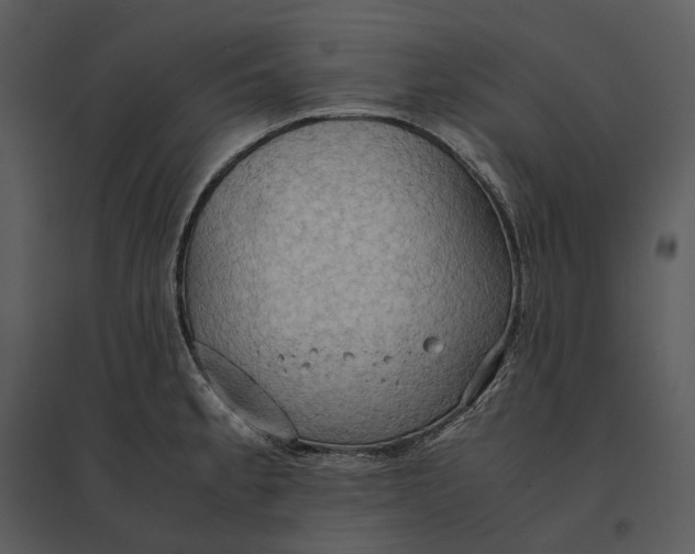 X0000095521189200801041216