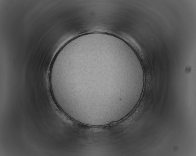 X0000095521190200801041216