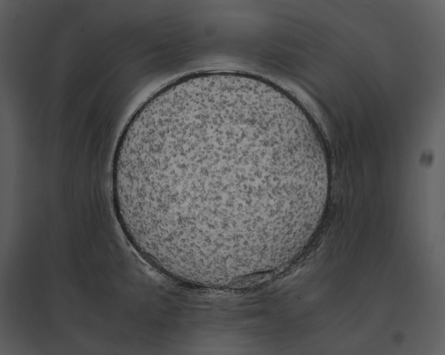 X0000095521191200801041216