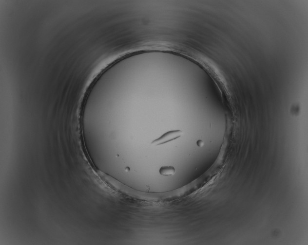 X0000095521192200801041216