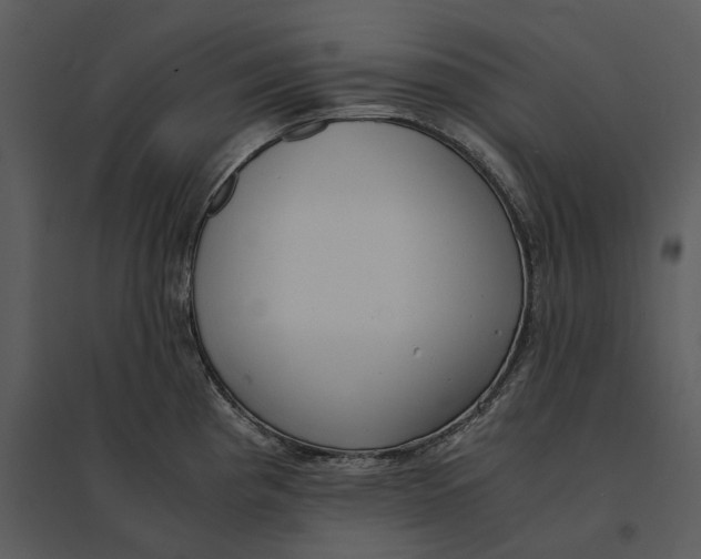 X0000095521193200801041216