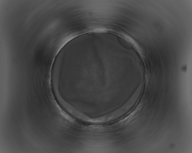 X0000095521194200801041216