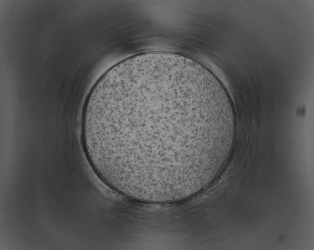 X0000095521195200801041216